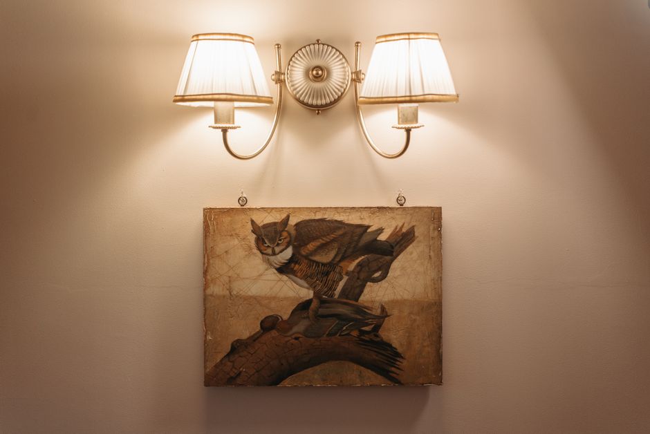 Uilenschilderij met betoverende mystieke achtergrondkleuren. Uilenschilderij met betoverende mystieke achtergrondkleuren.